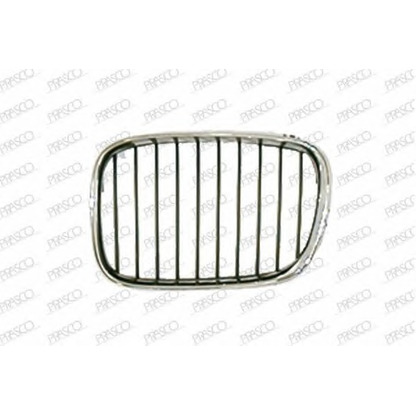 Photo Grille de radiateur PRASCO BM0442104