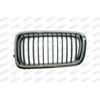 Photo Grille de radiateur PRASCO BM0982004