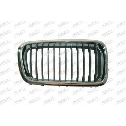 Photo Radiator Grille PRASCO BM0982013