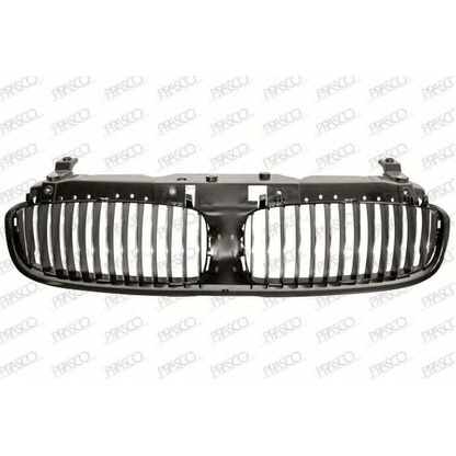 Photo Radiator Grille PRASCO BM1002001