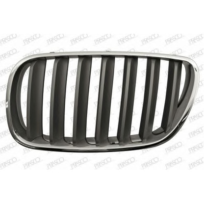 Photo Radiator Grille PRASCO BM8032024