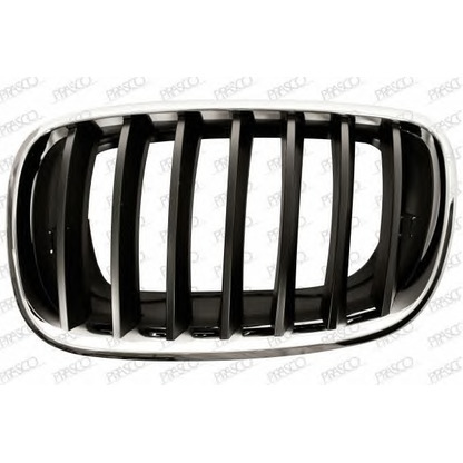 Photo Radiator Grille PRASCO BM8222004