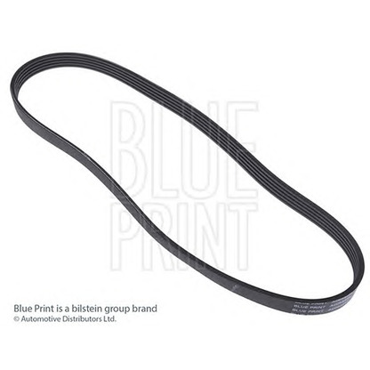 Photo V-Ribbed Belts BLUE PRINT AD05S898