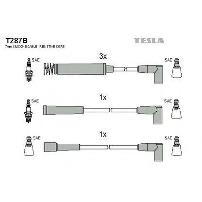 Photo Ignition Cable Kit TESLA T287B