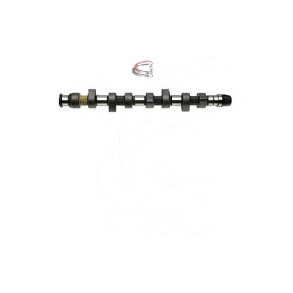 Photo Camshaft CAMPRO CP10213