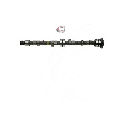 Photo Camshaft CAMPRO CP10601