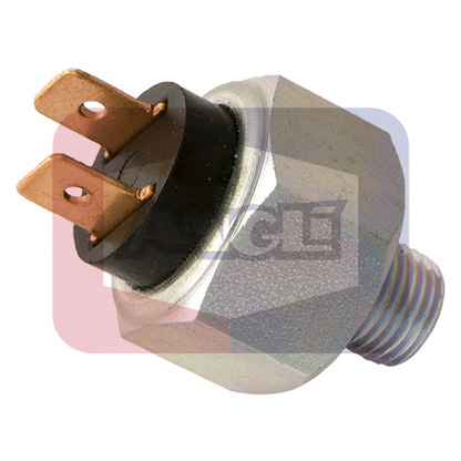 Photo Pressure Switch, brake hydraulics ANGLI 487