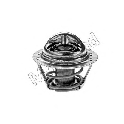 Photo Thermostat d'eau MOTORAD 20377