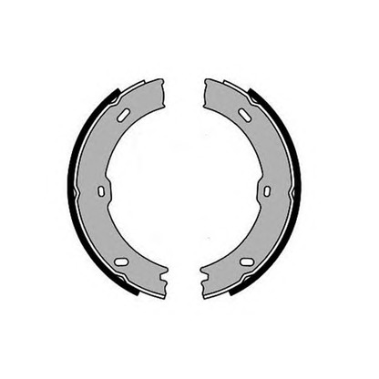 Photo Brake Shoe Set, parking brake RAICAM RA29300