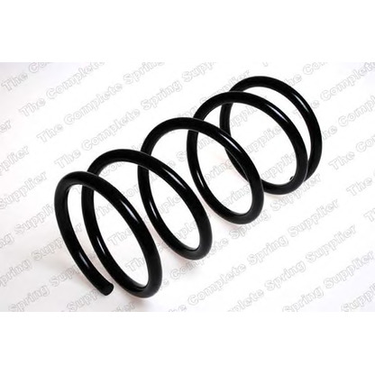 Photo Coil Spring ROC CS3703