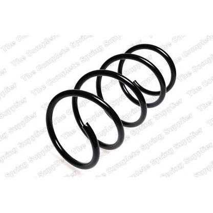 Photo Coil Spring ROC CS3748