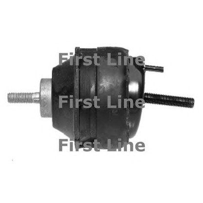 Foto Sospensione, Motore FIRST LINE FEM3260