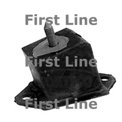 Foto Sospensione, Motore FIRST LINE FEM3387