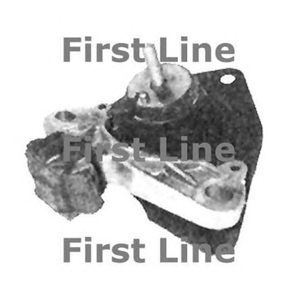 Foto Sospensione, Motore FIRST LINE FEM3416