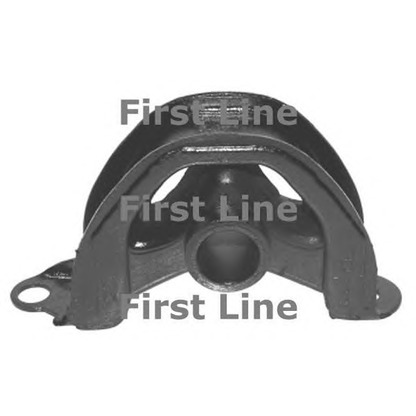 Foto Sospensione, Motore FIRST LINE FEM3494