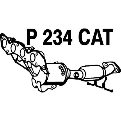 Photo Catalyseur FENNO P234CAT