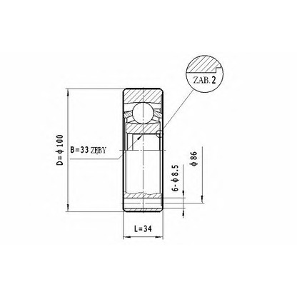 Photo Joint, drive shaft STATIM CW045