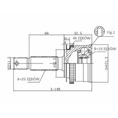 Photo Joint Kit, drive shaft STATIM C612