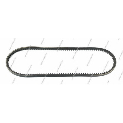 Photo V-Belt NPS S111I02