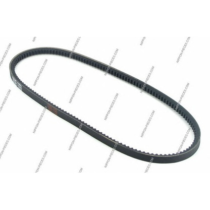 Photo V-Belt NPS T111A24