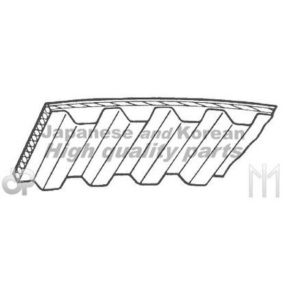 Foto Correa dentada ASHUKI C75510