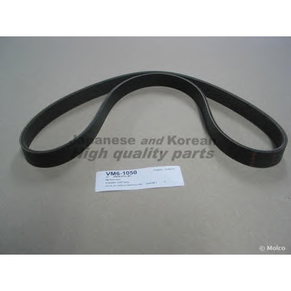 Photo V-Ribbed Belts ASHUKI VM61050