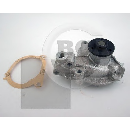 Photo Water Pump BGA CP2394