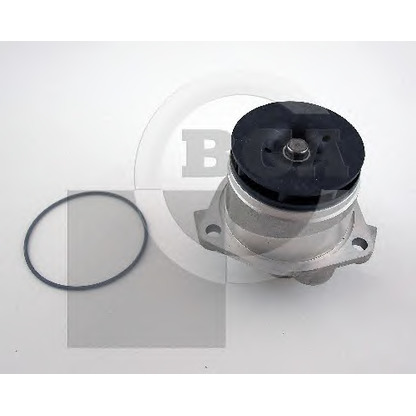 Photo Water Pump BGA CP3286