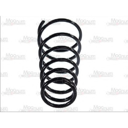 Photo Coil Spring Magnum Technology S00311MT