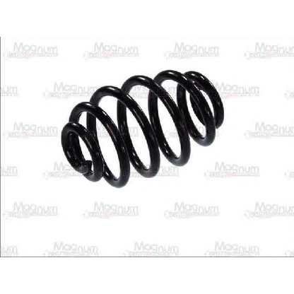 Photo Coil Spring Magnum Technology SB041MT