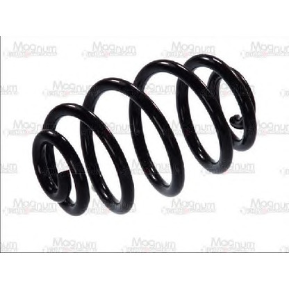 Photo Coil Spring Magnum Technology SB042MT