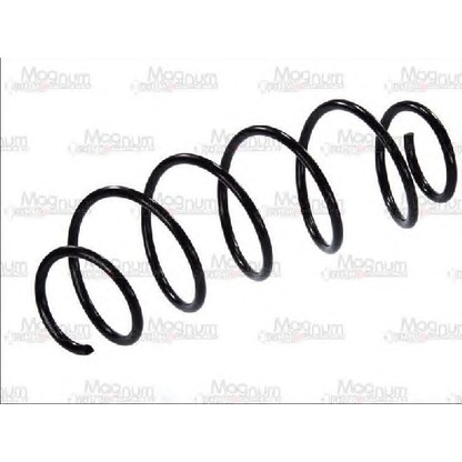 Photo Coil Spring Magnum Technology SC036MT