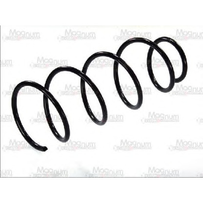 Photo Coil Spring Magnum Technology SF005MT