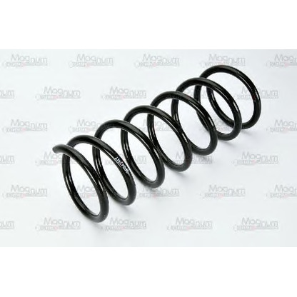 Photo Coil Spring Magnum Technology SF042MT