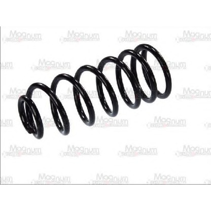 Photo Coil Spring Magnum Technology SF045MT
