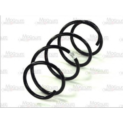 Photo Coil Spring Magnum Technology SF055MT