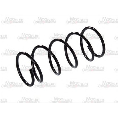 Photo Coil Spring Magnum Technology SG035MT