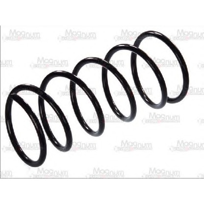 Photo Coil Spring Magnum Technology SG052MT