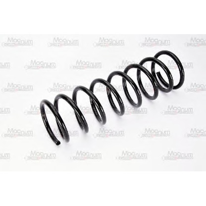 Photo Coil Spring Magnum Technology SG093MT