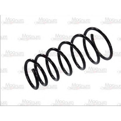 Photo Coil Spring Magnum Technology SG119MT