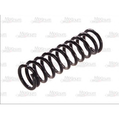 Photo Coil Spring Magnum Technology SM053MT