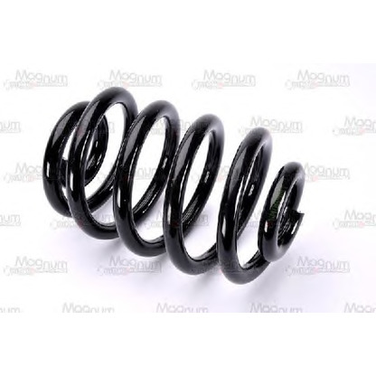 Photo Coil Spring Magnum Technology SM069MT