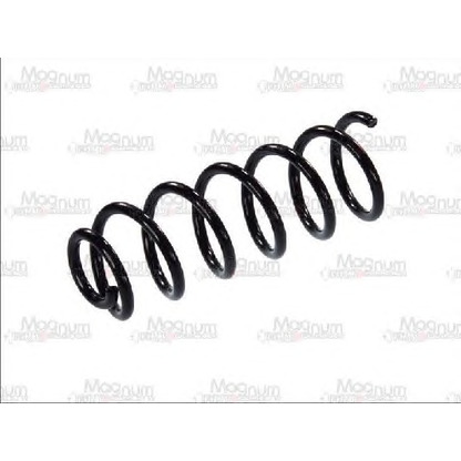 Photo Coil Spring Magnum Technology SP041MT