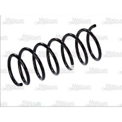 Photo Coil Spring Magnum Technology SR004MT