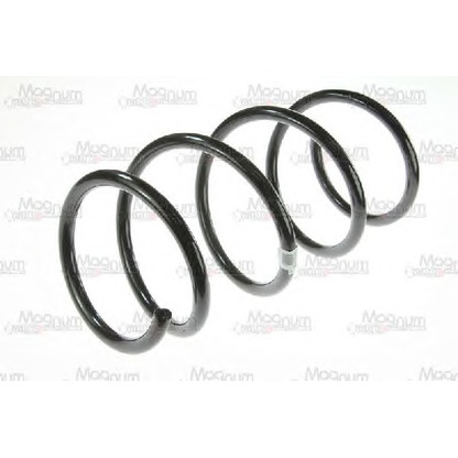 Photo Coil Spring Magnum Technology SR006