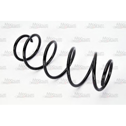 Photo Coil Spring Magnum Technology SS000MT