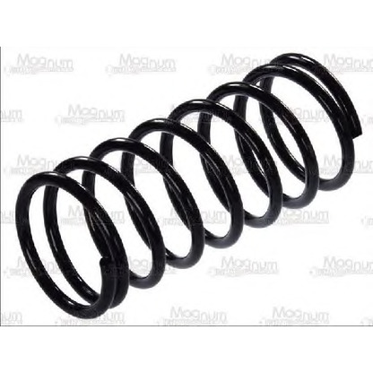 Photo Coil Spring Magnum Technology SS002MT