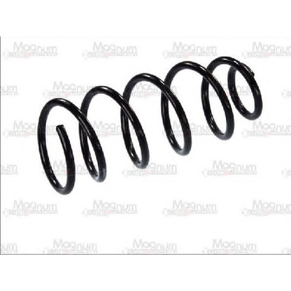 Photo Coil Spring Magnum Technology SS006MT