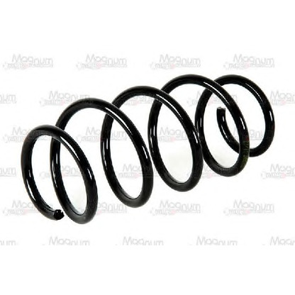 Photo Coil Spring Magnum Technology SS025MT