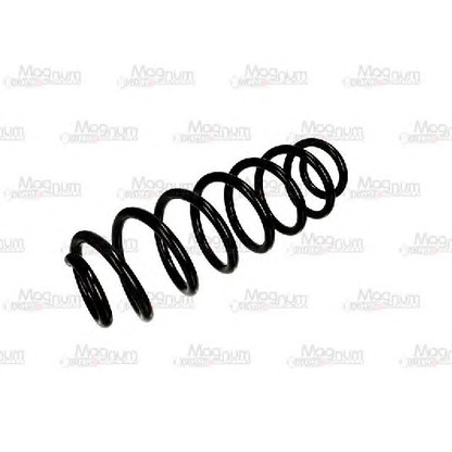 Photo Coil Spring Magnum Technology SS027MT